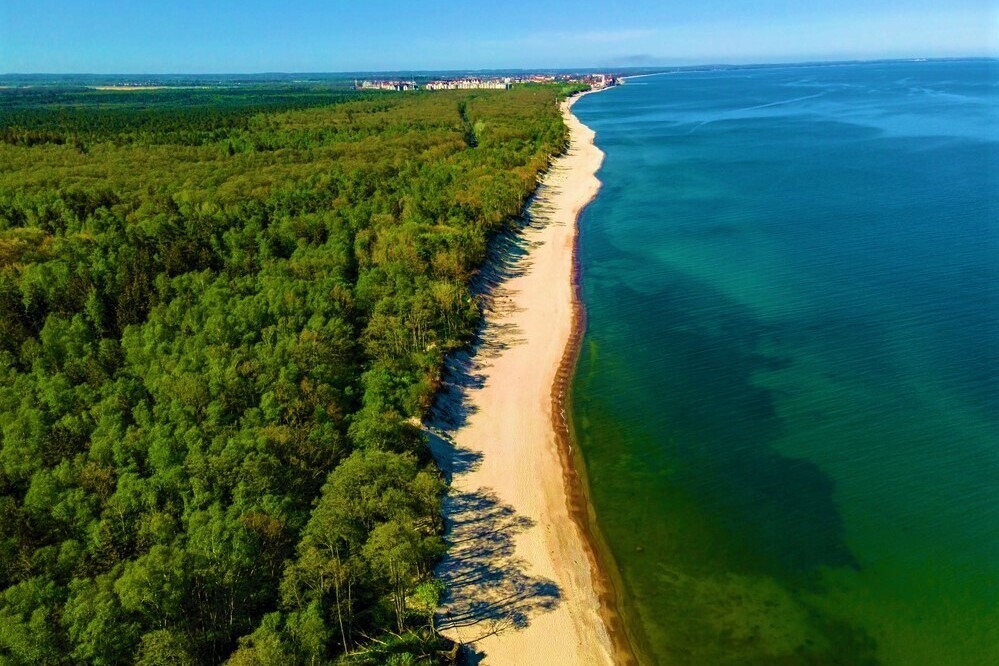 Куршская коса